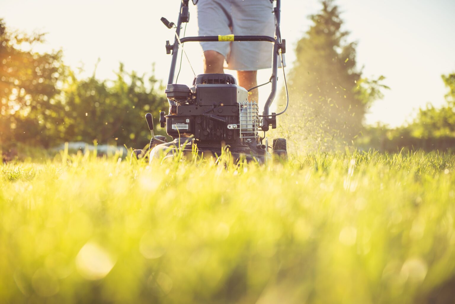 Robot Lawn Mower: The Smart Way to Keep Your Lawn Perfect